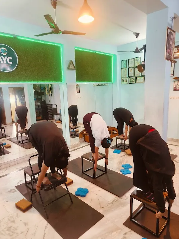 Anjali Acupressure Treatment & Yoga center - Jaipur, wellness centre in Jaipur