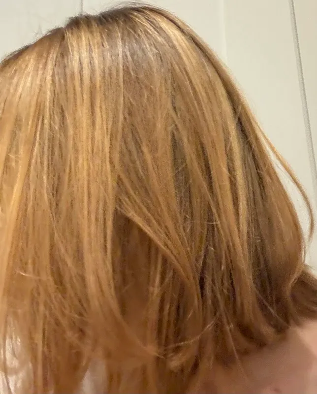 The Session - Hair Studio for Colorists & Stylists