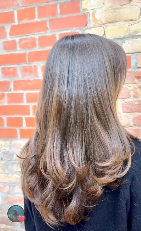 The Session - Hair Studio for Colorists & Stylists