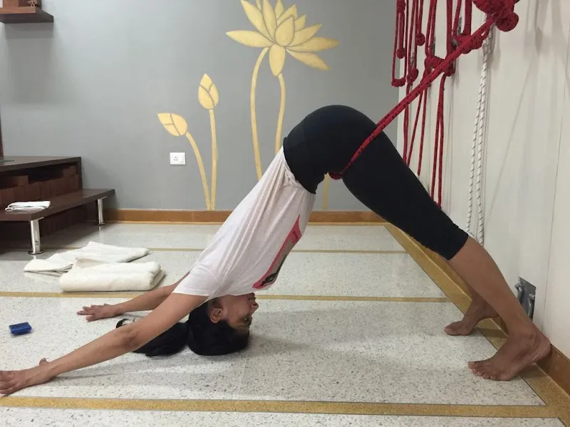 Iyengar Yogamandala