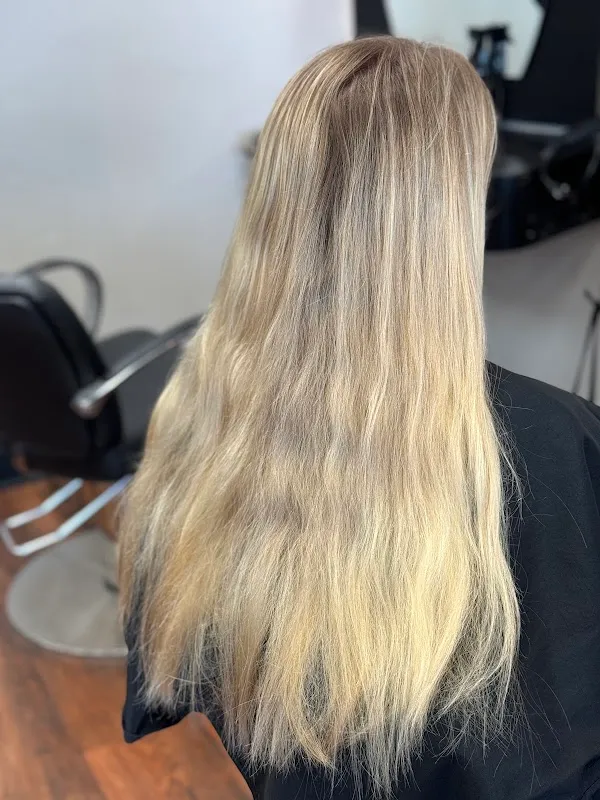 Mark IV Hair Designs