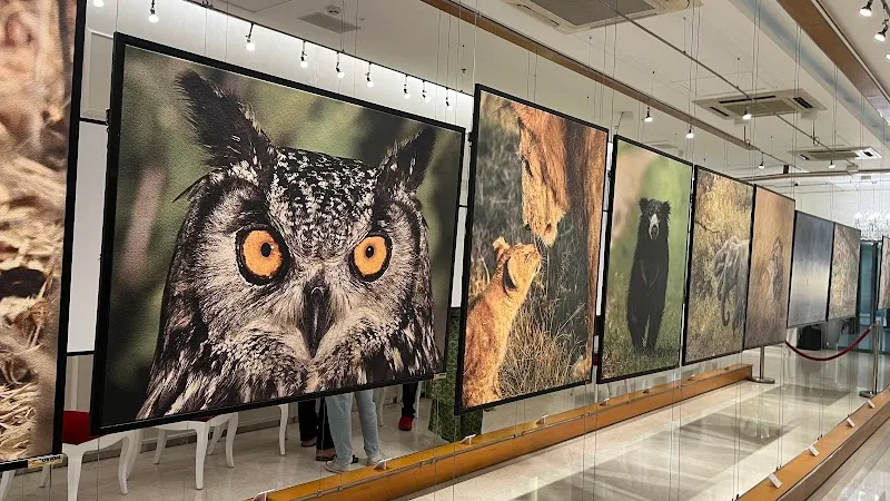 Sublime Galleria