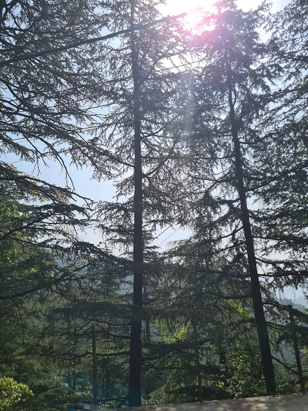Himalayan Institute of Digital Arts (HIDA)