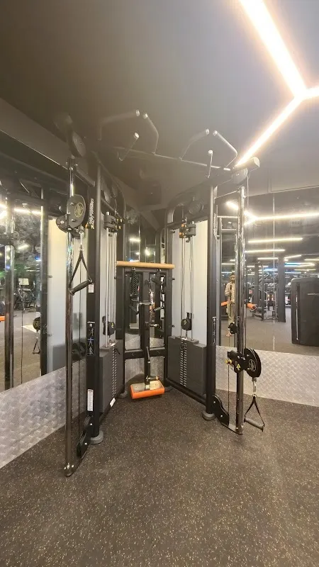Results Gym