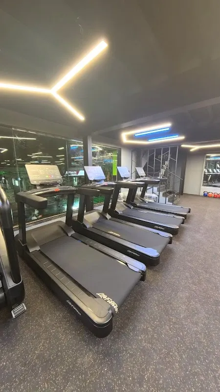 Results Gym