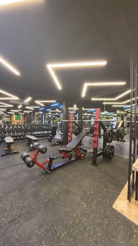 Results Gym