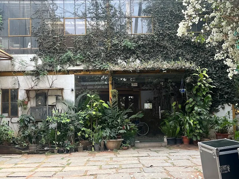 Yolk Studio & Creative Habitat