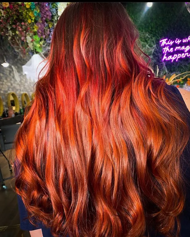 XO Hair Lab