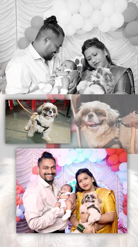 SD Photo Film's