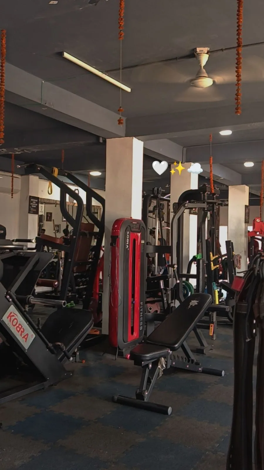 Fitness Culture Unisex Gym