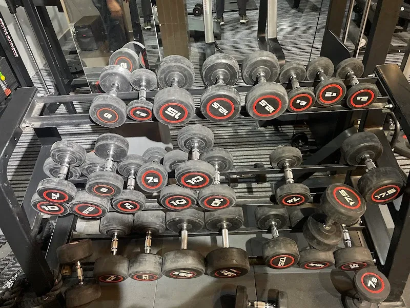 Everytime Fitness