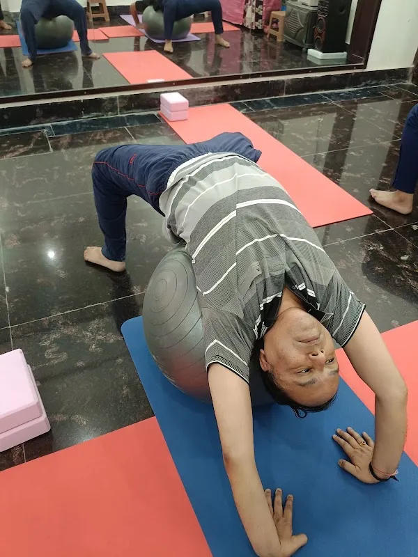 The art of asanas yoga studio