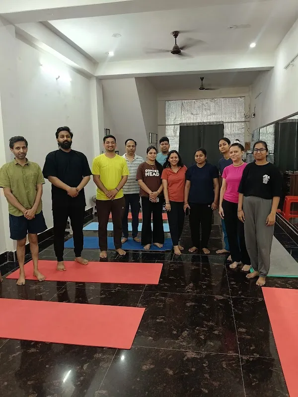 The art of asanas yoga studio