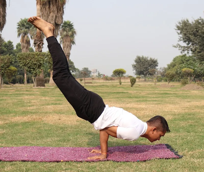 The art of asanas yoga studio
