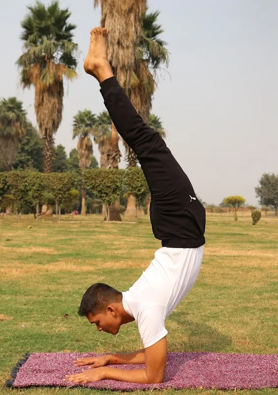 The art of asanas yoga studio