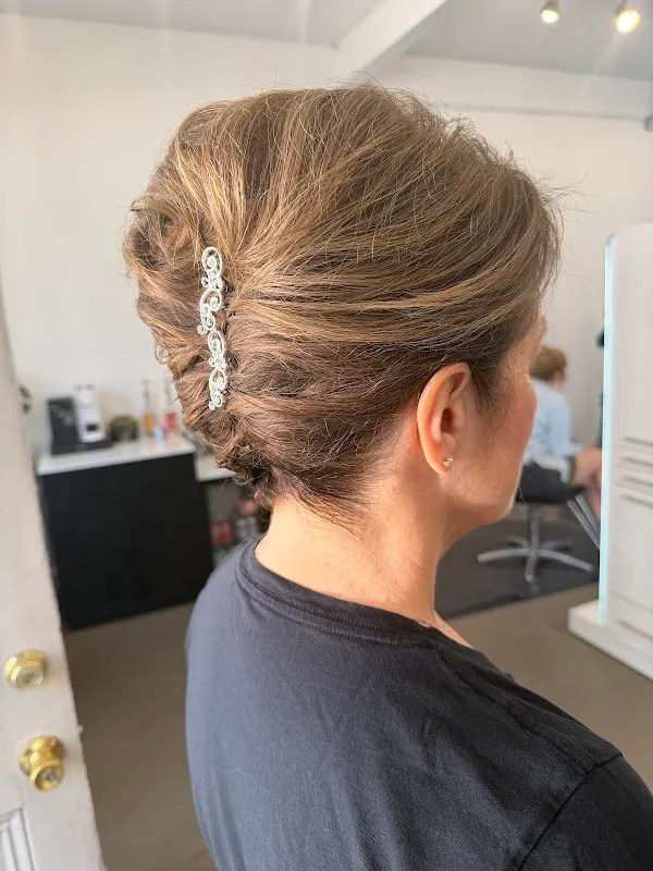 Salon Diversions