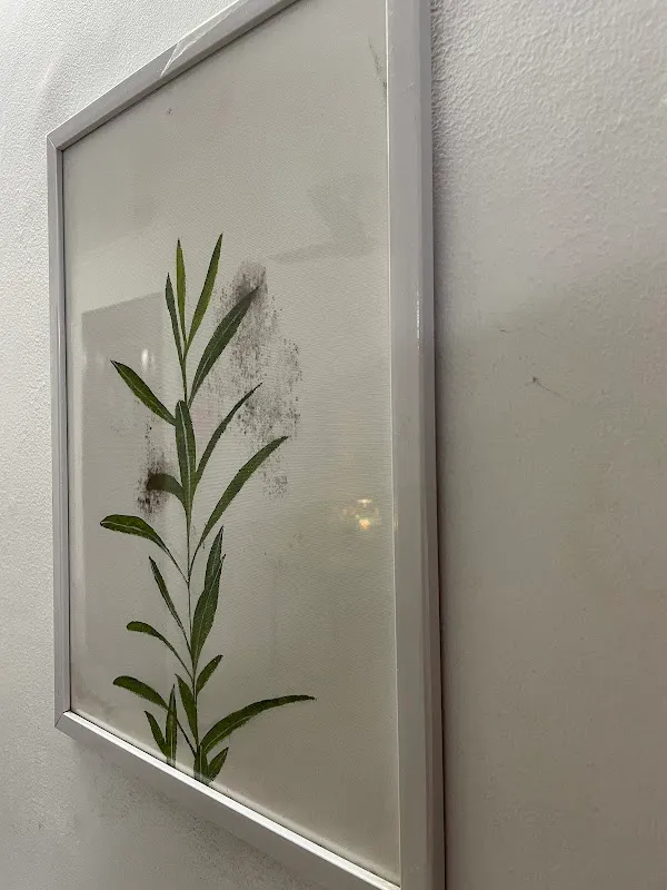 Handmade Paintings