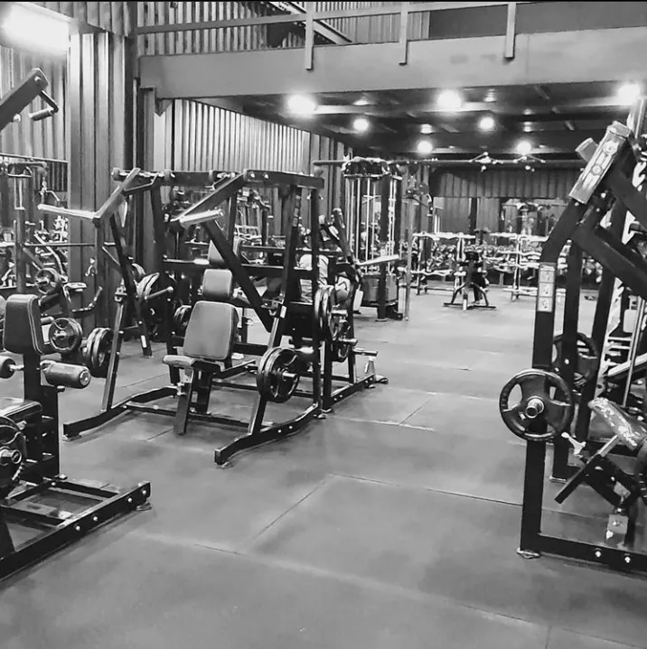 House of Pain Dz