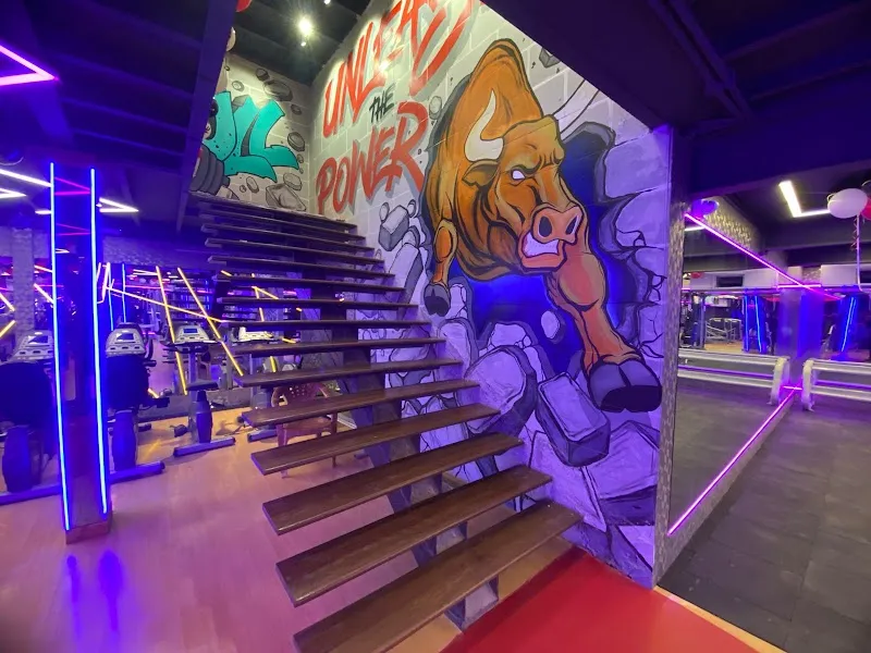 Big Bull Fitness