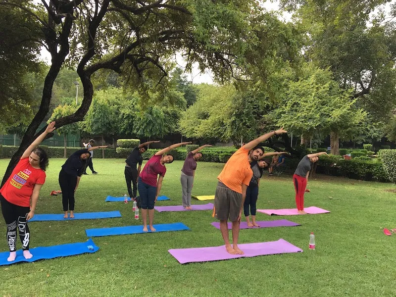 Apex Yoga Studio