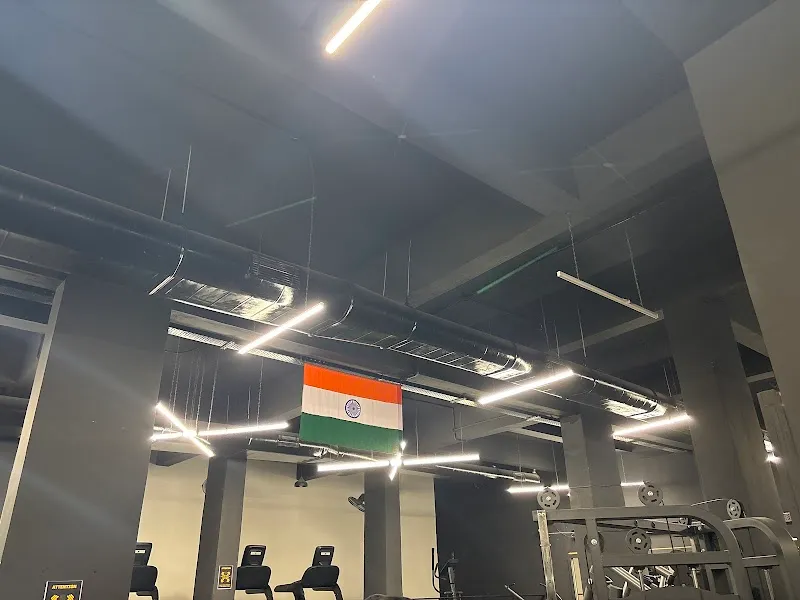THE BULLS FITNESS