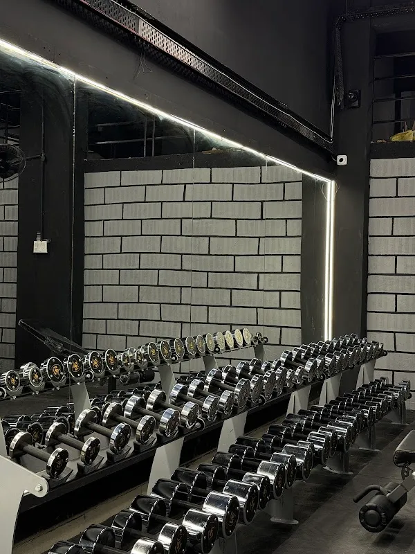 THE BULLS FITNESS