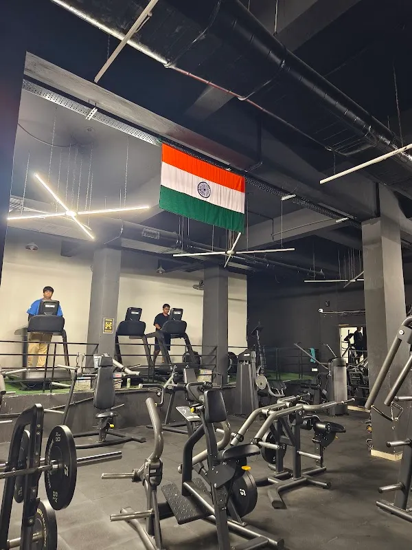 THE BULLS FITNESS