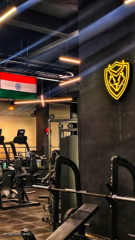 THE BULLS FITNESS