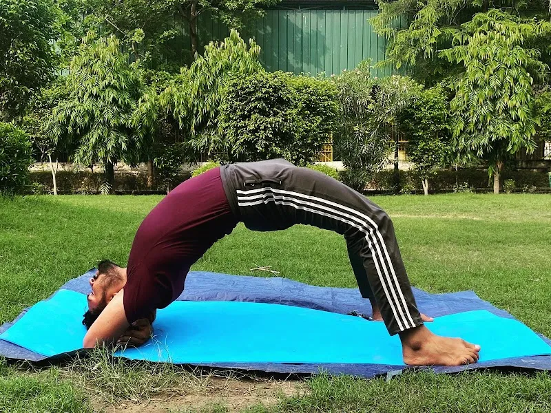 Yogeshwari yoga classes