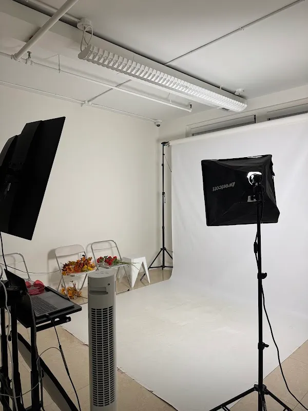 Muse Studios