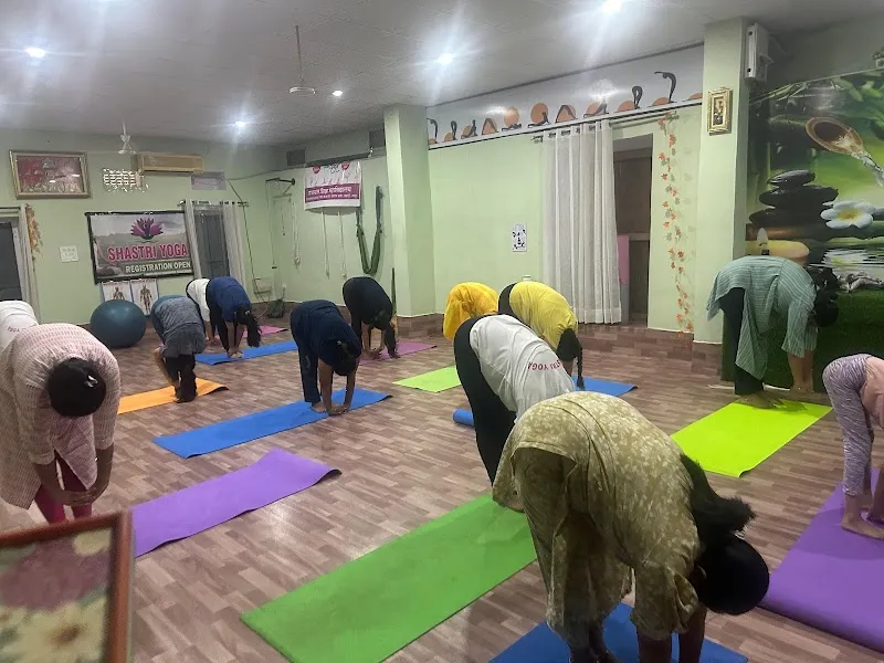 Shastri Yoga Classes, Jaipur, Yoga with Seema