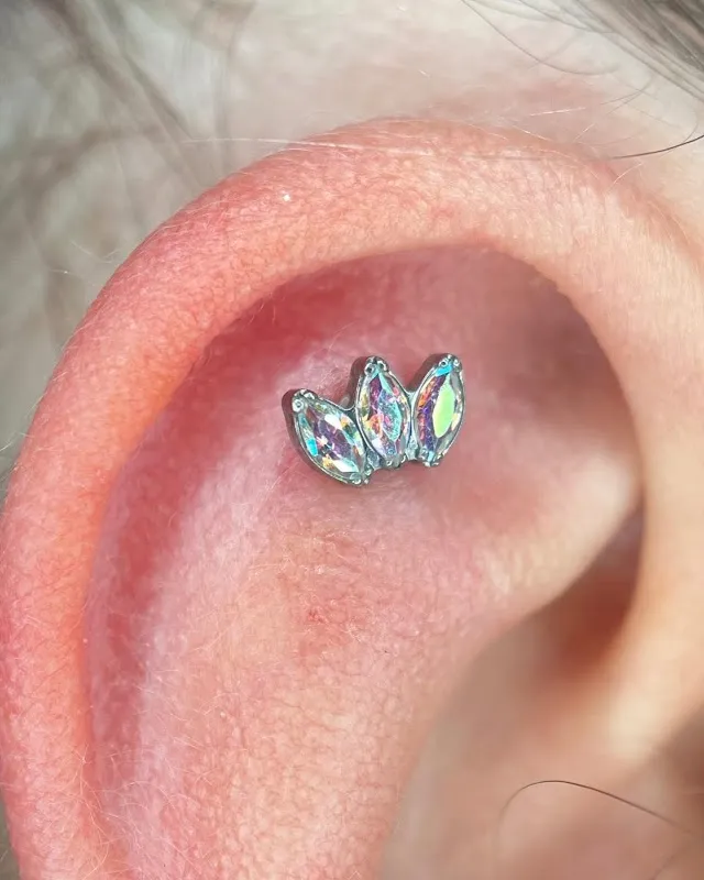 Zim ink’s Tattoo Piercing