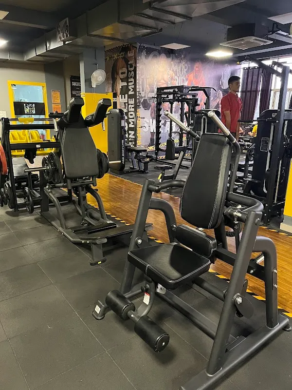 My Gym Box