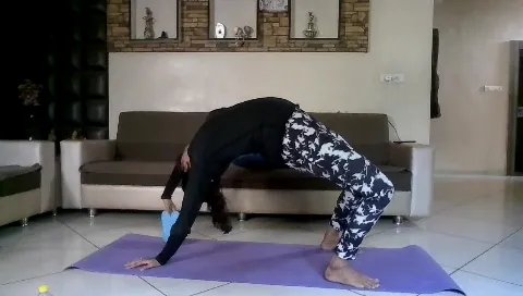 Xanso Fitness