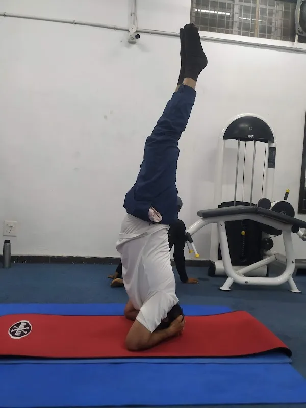 FITNESS FOREVER GYM