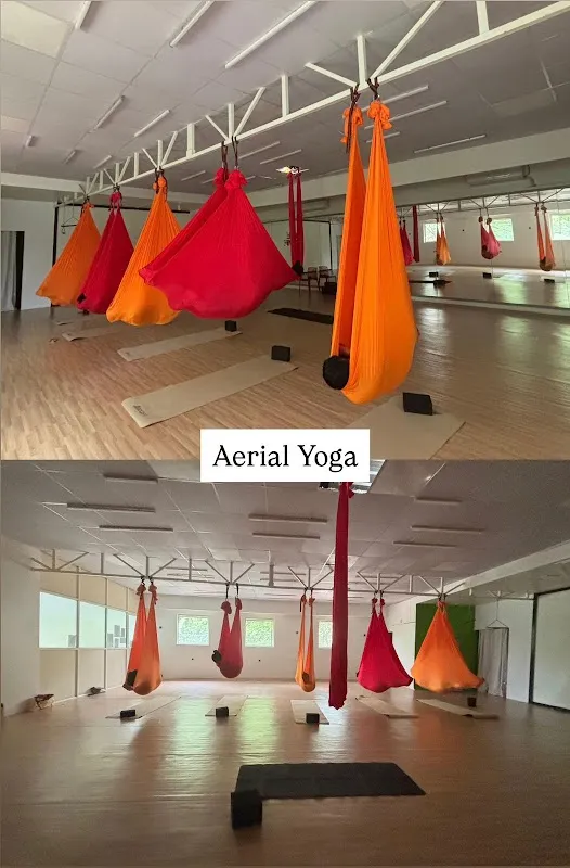 One Move Studio