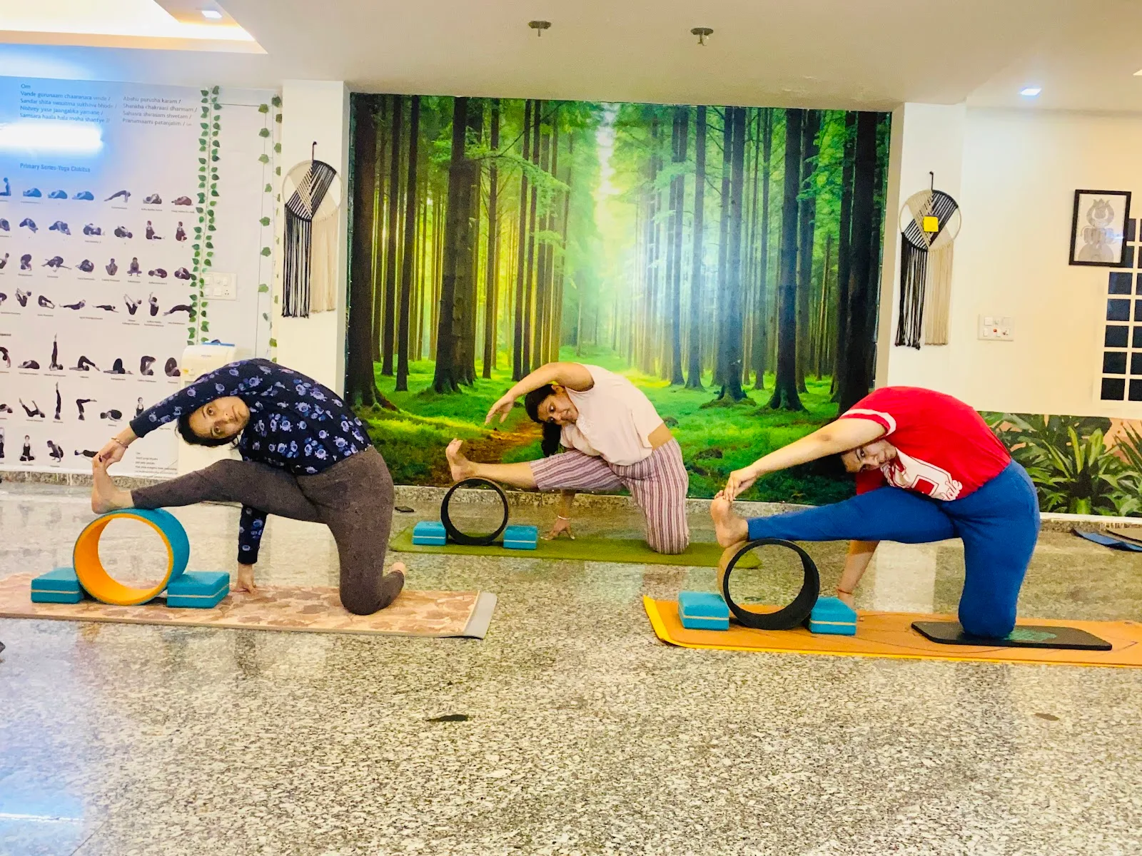 Ved Yoga Shala || International Yoga Teachers || Yoga Studio ||