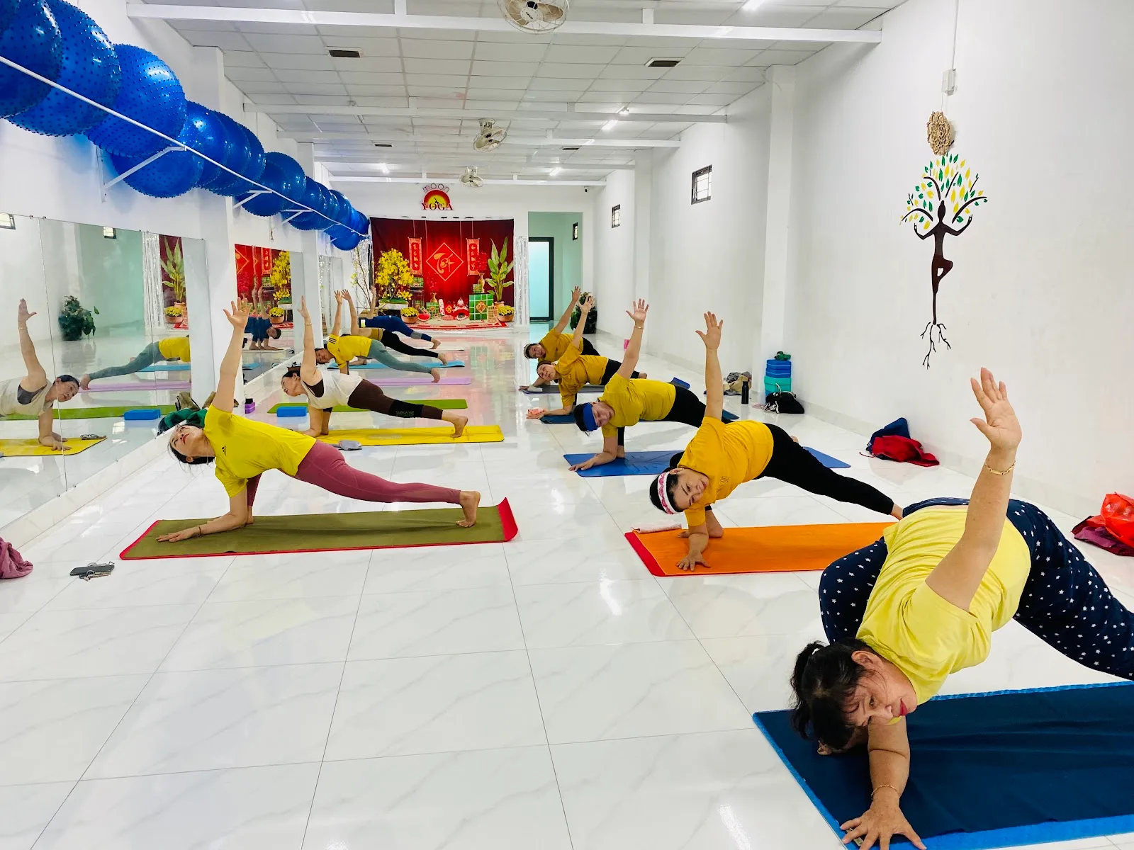 Ved Yoga Shala || International Yoga Teachers || Yoga Studio ||