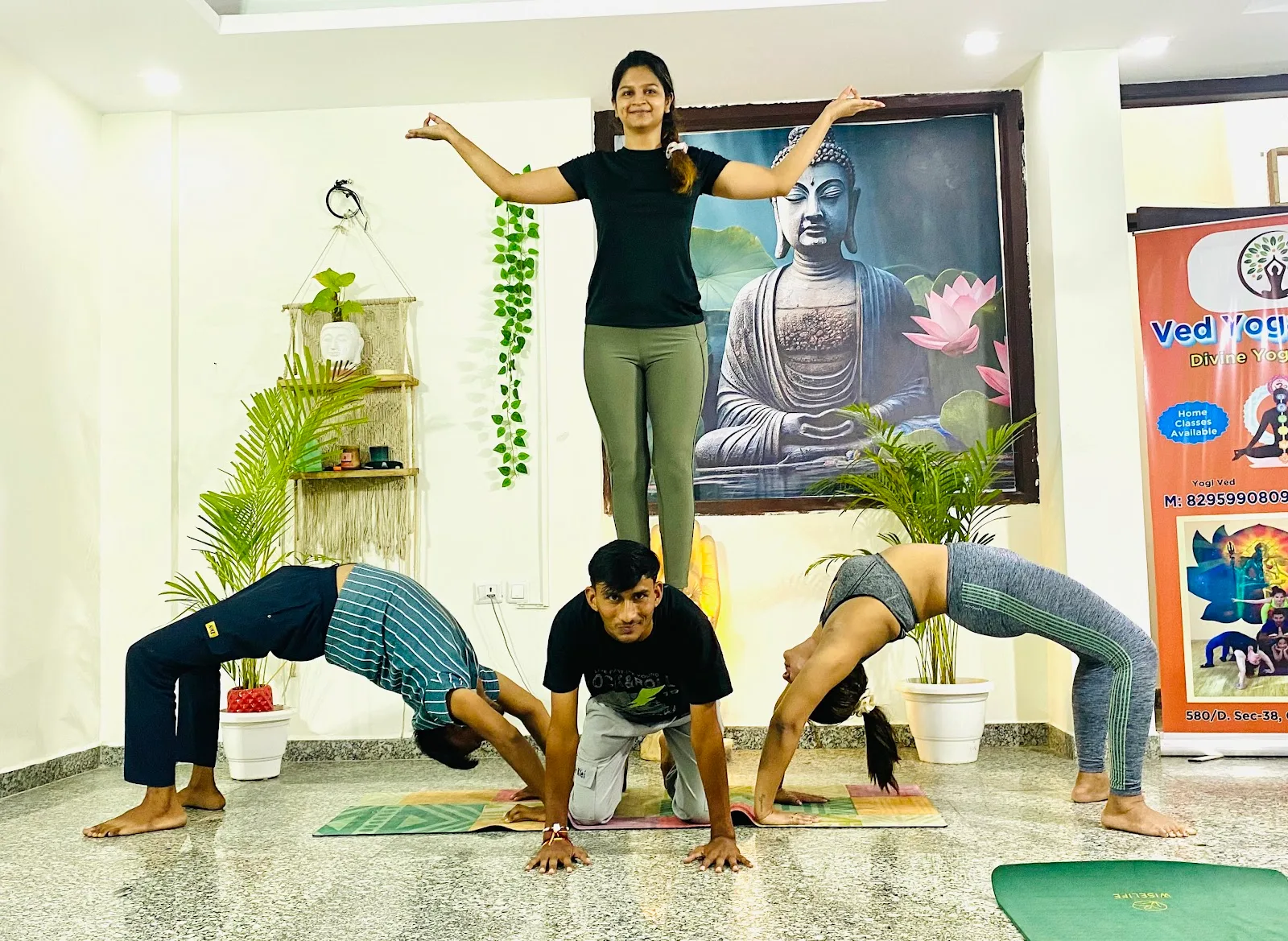 Ved Yoga Shala || International Yoga Teachers || Yoga Studio ||