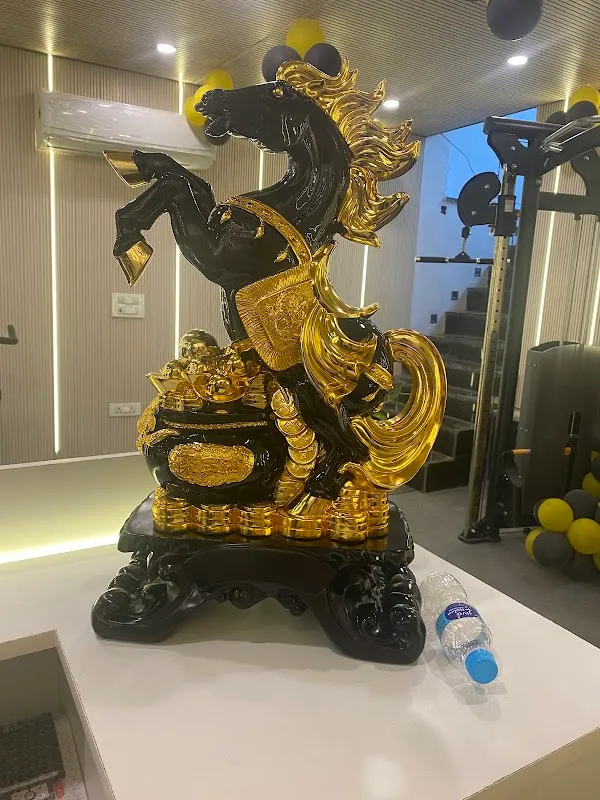 Nirvana Fitness