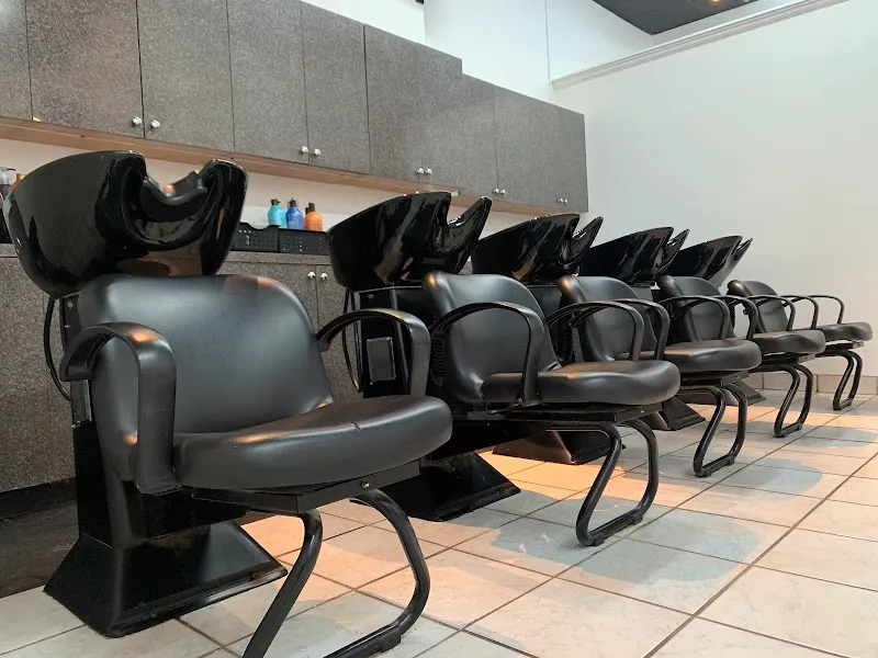 The Salon at Buena Vista