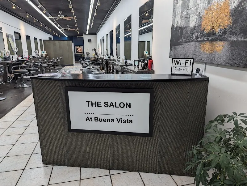 The Salon at Buena Vista