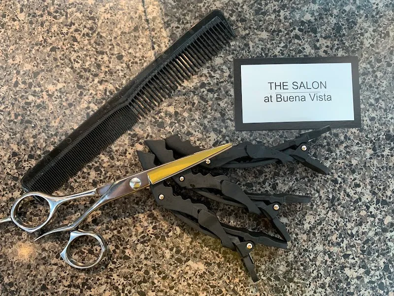 The Salon at Buena Vista