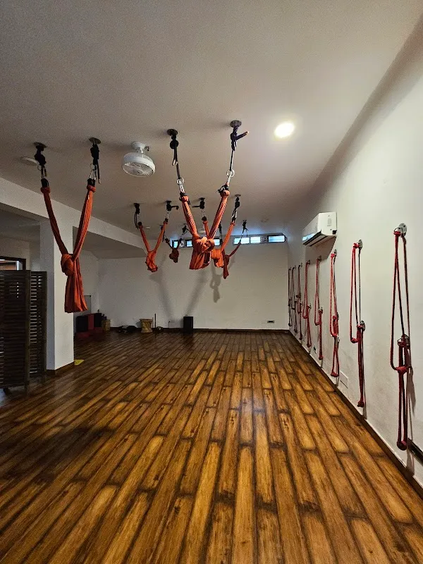 Yoga Fettle Journey (School of Yoga)