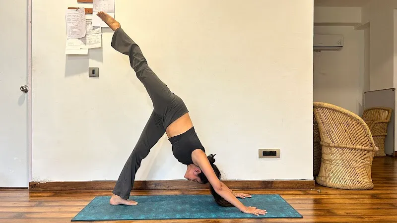 Yoga Fettle Journey (School of Yoga)
