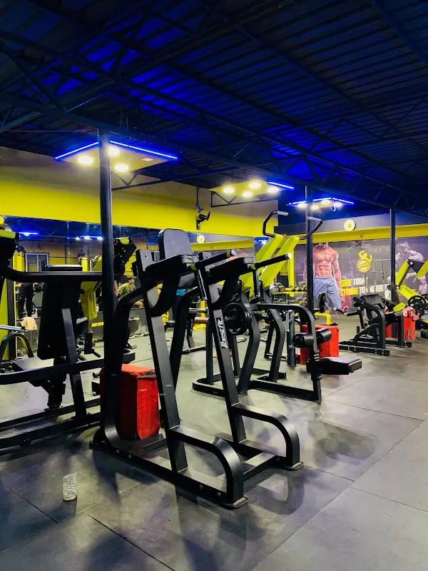 Stylo international gym