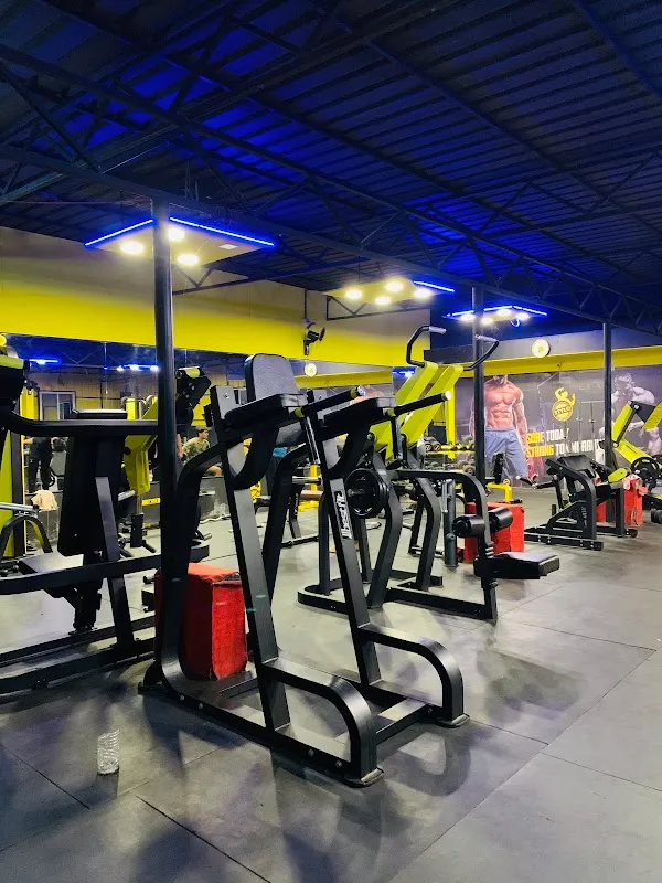 Stylo international gym