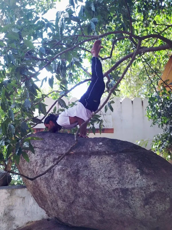 R V Yoga Kendra