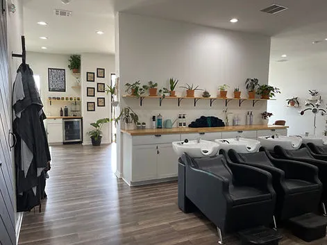 Willow Sage Salon