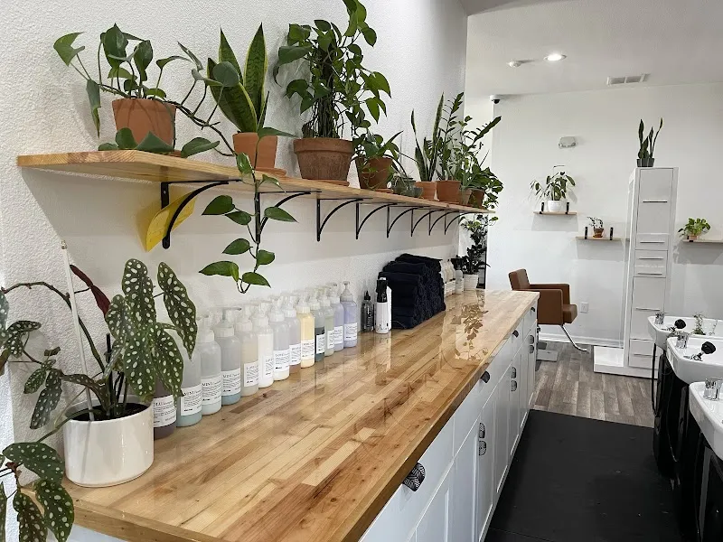 Willow Sage Salon